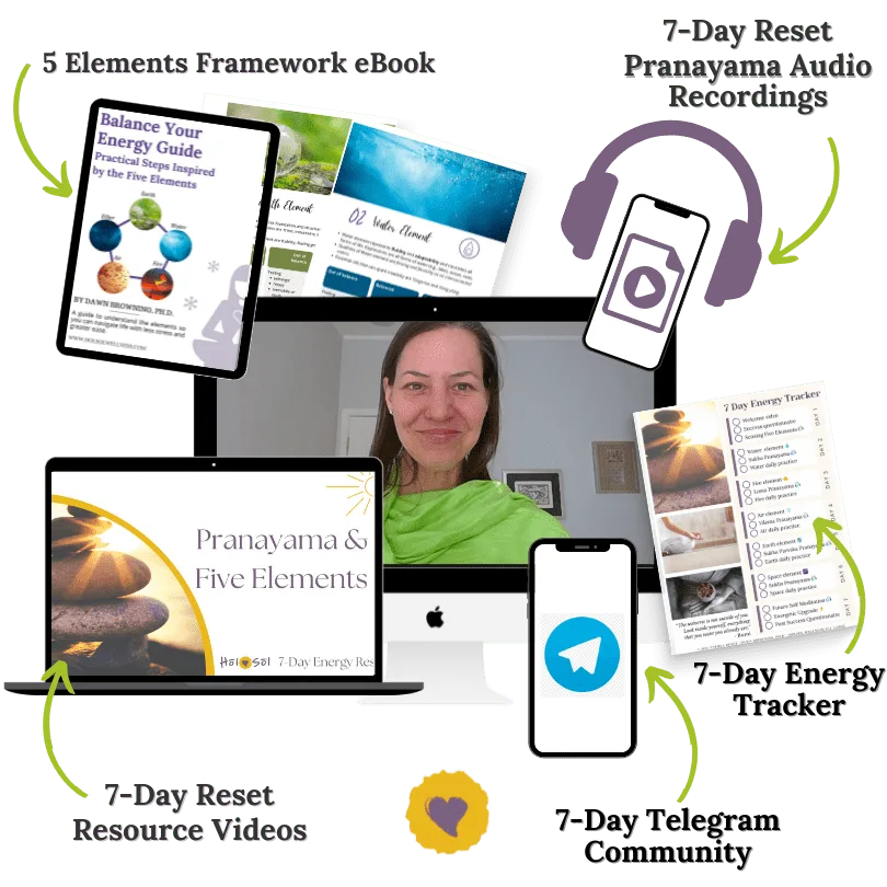 Image displaying digital resources, including eBooks, audio recordings, videos, and a community chat for a wellness program. A woman is smiling on a video call screen in the center.